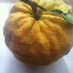 レンジで作る獅子ゆず 鬼ゆず のジャム レシピ 作り方 By Beat77 楽天レシピ レンジで作る獅子ゆず 鬼ゆず のジャム レシピ 作り方 By Beat77 楽天レシピ